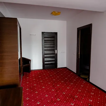 Gasthuis Vialux Bacău